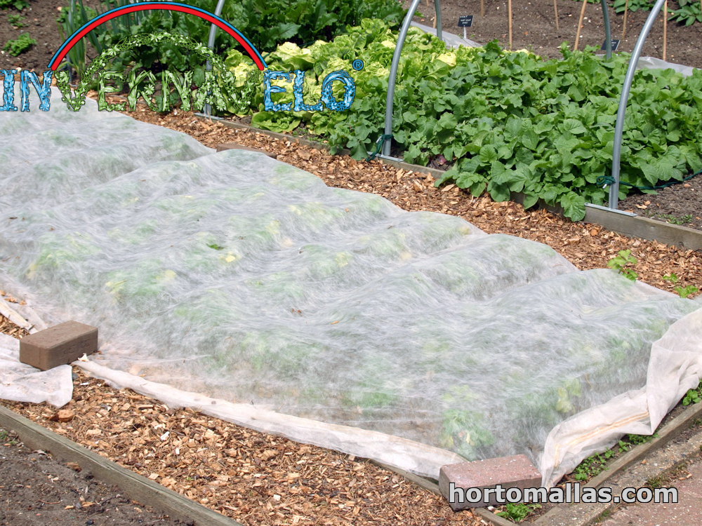 Manta térmica para protección de hortalizas
